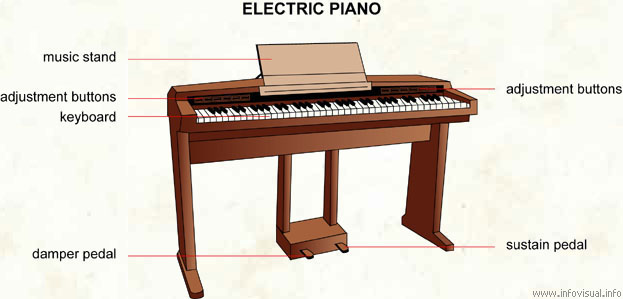 Electric piano  (Visual Dictionary)